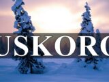 Uskoro lavu slede izazovi koje ce uspesno resiti ribe u ljubavi jarac se oseca neshvaceno a sta sledi ostalim znacima zodijaka?