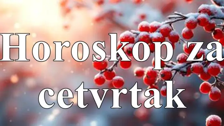 Ribu ocekuje vazan razgovor,Bik sve cini da osvoji  jednog JARCA…