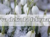 Prva dekada februara za sve znake zodijaka !