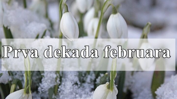 Prva dekada februara za sve znake zodijaka !