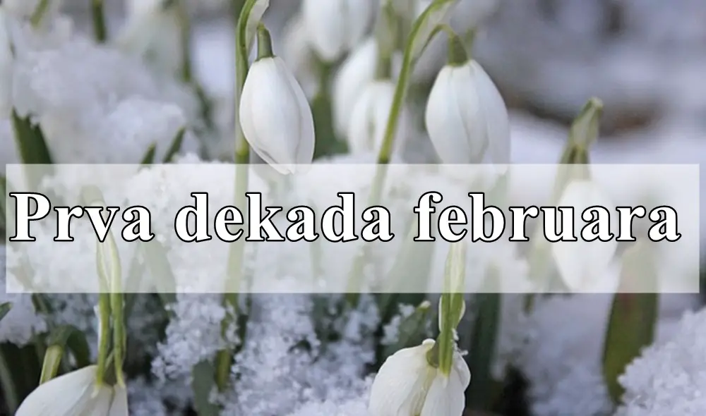 Prva dekada februara za sve znake zodijaka !