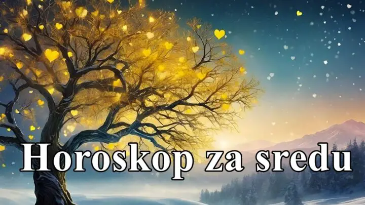 Lavovi vama je potrebno da razumete da drugi imaju drugacije tacke gledista !