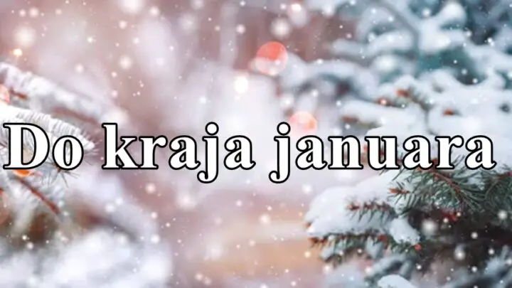 Do kraja januara neko treba da donese vazne odluke evo i ko !