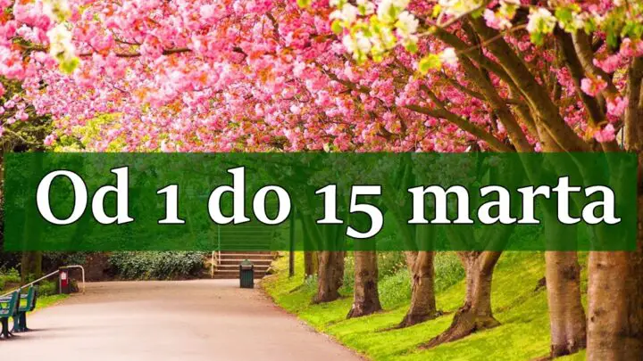 Od 1 do 15 marta nemoguce postaje moguce !
