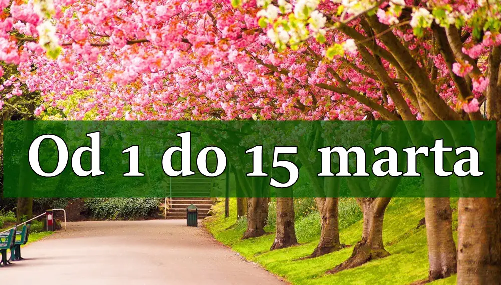 Od 1 do 15 marta nemoguce postaje moguce ! Od 1 do 15 marta nemoguce postaje moguce !