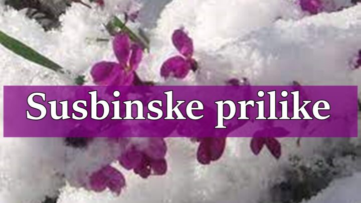Sudbinske prilike stizu u narednim danima za sve znake zodijaka !