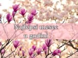 Mesec mart ce ovim znacima biti najlepsi mesec u celoj 2025.godini!