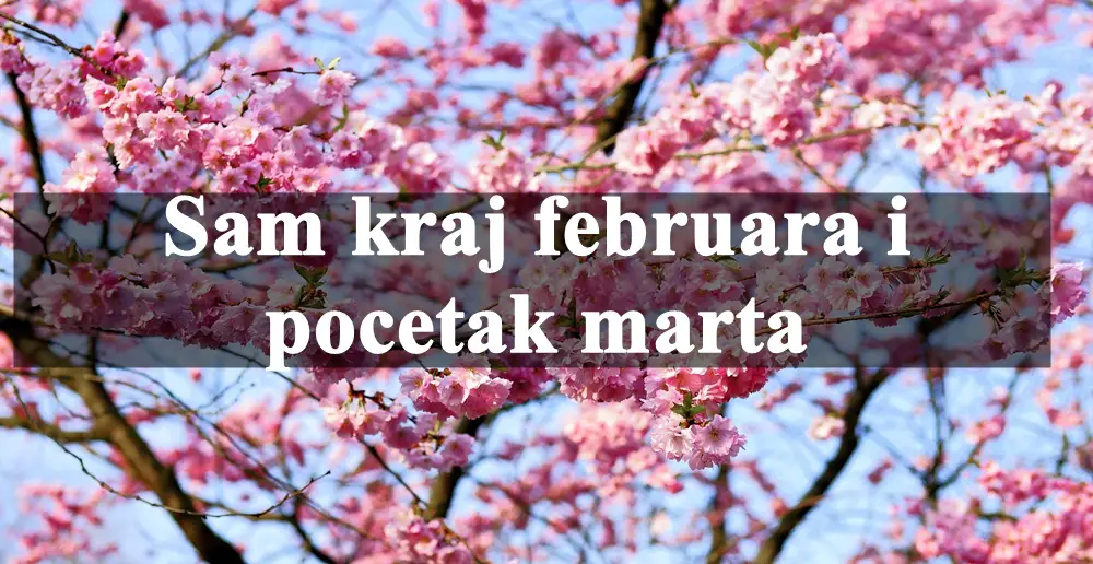 Sam kraj februara i pocetak marta donosi bitne astroloske promene.