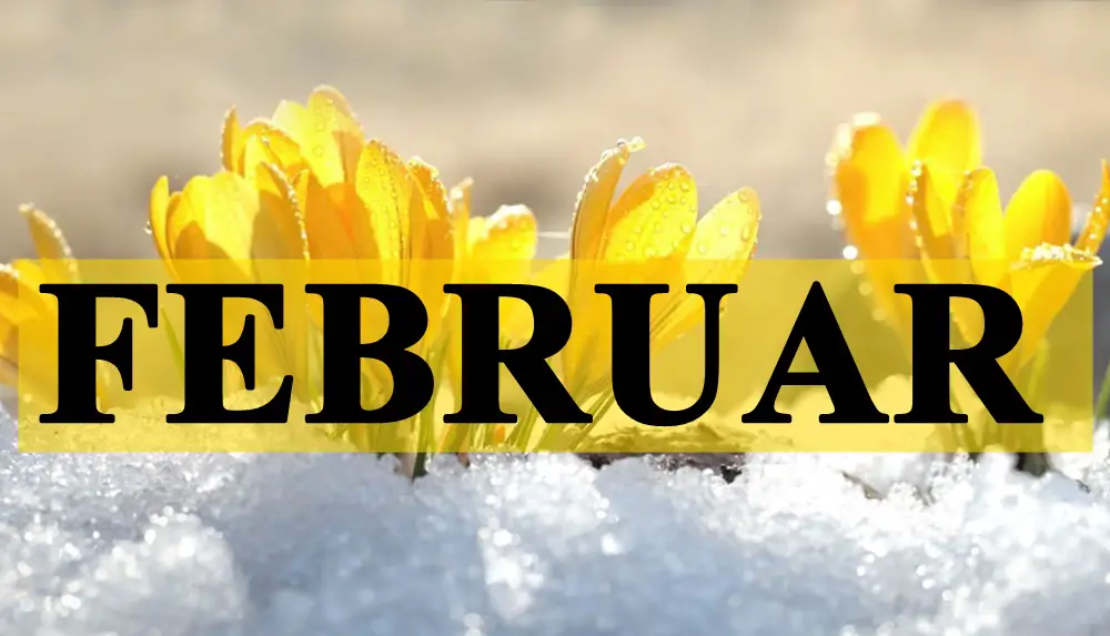 Danas je poceo februar, evo ko ce se ovoga meseca usreciti ?!