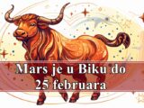 Mars je u Biku do 25 februara evo sta to za sve znake zodijaka donosi.