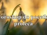 🌿 Horoskop do početka proleća 2025. za sve znakove zodijaka 🌿