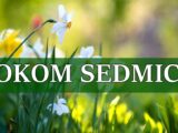 Tokom sedmice za neke znake zodijaka dolazi veliki napredak.