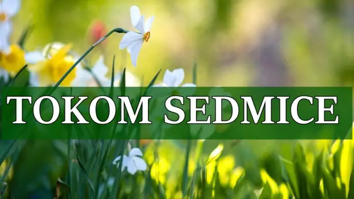 Tokom sedmice za neke znake zodijaka dolazi veliki napredak.