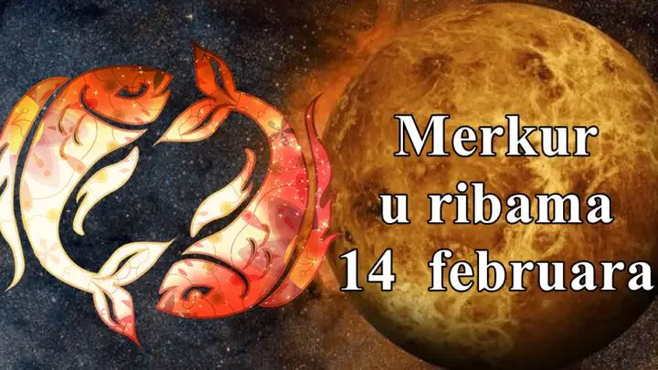 Merkur u Ribama 14 februara evo sta to za sve znake zodijak donosi.