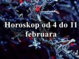 Od 4 do 11 februara budite mudri i donosite dobre odluke !