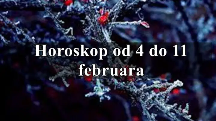 Od 4 do 11 februara budite mudri i donosite dobre odluke !