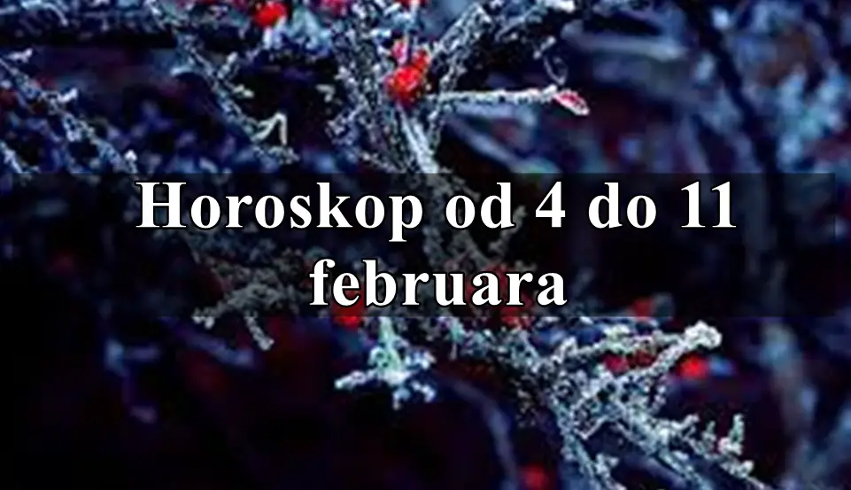 Od 4 do 11 februara budite mudri i donosite dobre odluke !