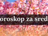 Horoskop za sredu Devicu čeka važan izazov!