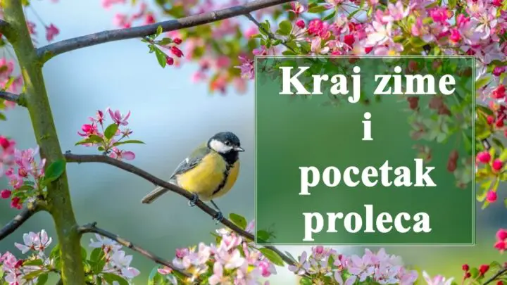 🔮 Kraj zime i početak proljeća za sve znakove zodijaka – Šta donosi prelazni period? 🌿✨