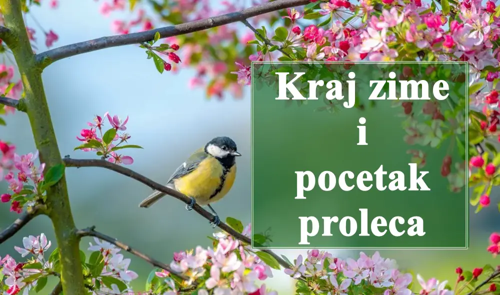 🔮 Kraj zime i početak proljeća za sve znakove zodijaka – Šta donosi prelazni period? 🌿✨