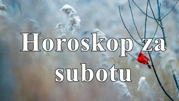 Današnji dan donosi potrebu za uspostavljanjem ravnoteže u svim životnim segmentima.