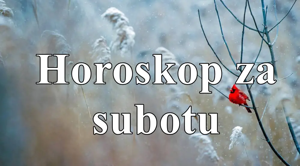 Današnji dan donosi potrebu za uspostavljanjem ravnoteže u svim životnim segmentima. Današnji dan donosi potrebu za uspostavljanjem ravnoteže u svim životnim segmentima.