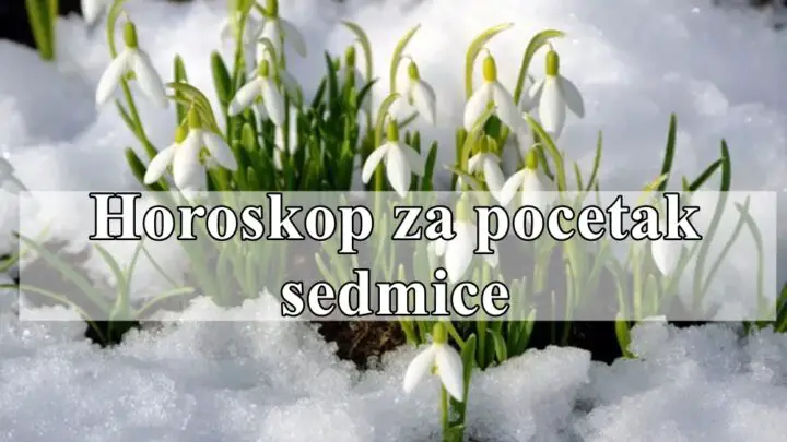 Početak sedmice donosi snažnu energiju promjena, prilika i izazova za svaki znak.