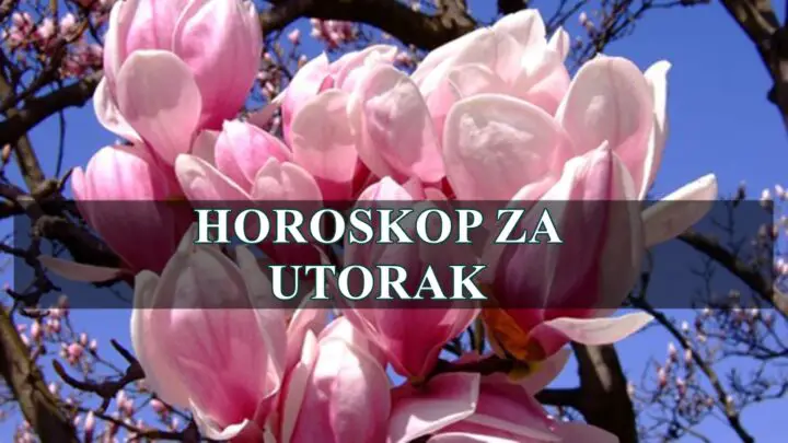DNEVNI HOROSKOP ZA UTORAK, 25. MART 2025. ZA SVE ZNAKE ZODIJAKA