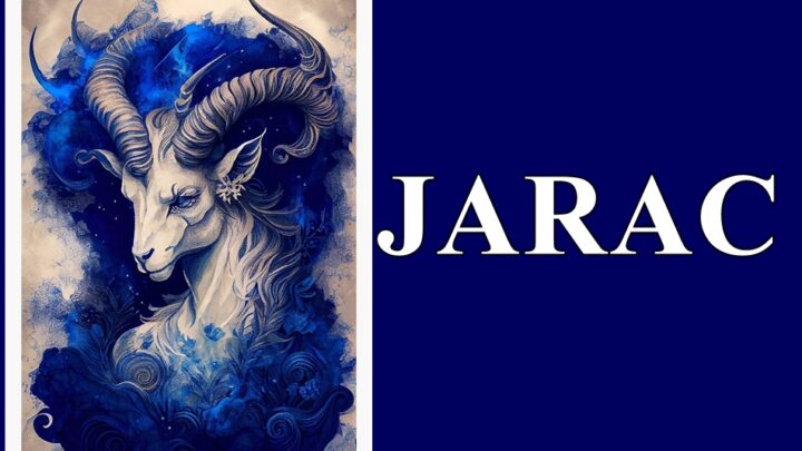 Jarac je stena koju trazis u zivotu ako imate jarca imate i lojalnost iskrenu osobu kraj sebe za ceo zivot.