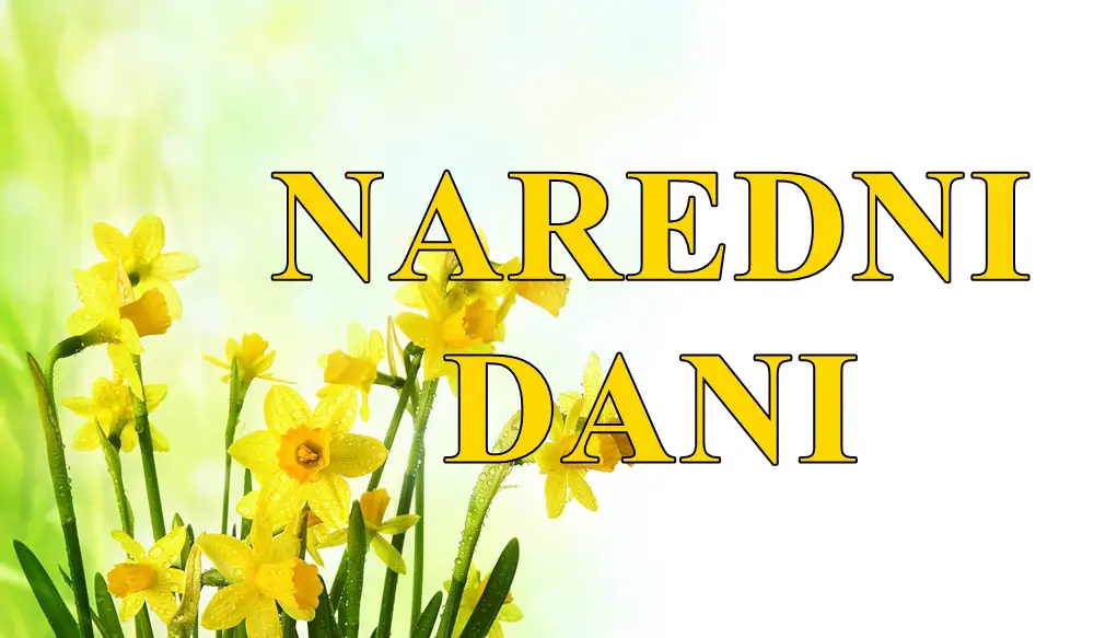 🔮 Naredni dani za sve znakove zodijaka: Strelac se kaje, Lav blista od sreće, a šta čeka ostale? 🔮 🔮 Naredni dani za sve znakove zodijaka: Strelac se kaje, Lav blista od sreće, a šta čeka ostale? 🔮