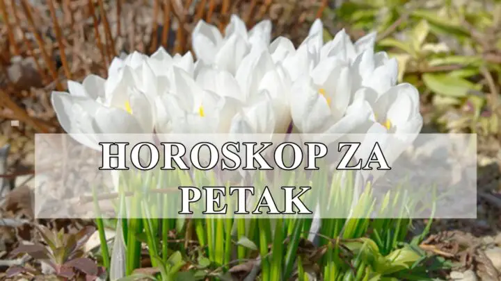 Danas se fokusirajte na svoje unutrašnje osećaje i ne donosite odluke pod pritiskom.
