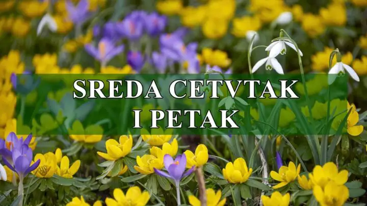 Sreda cetvrtak i petak Blizanci vi ste sarmantni i privlacite paznju.