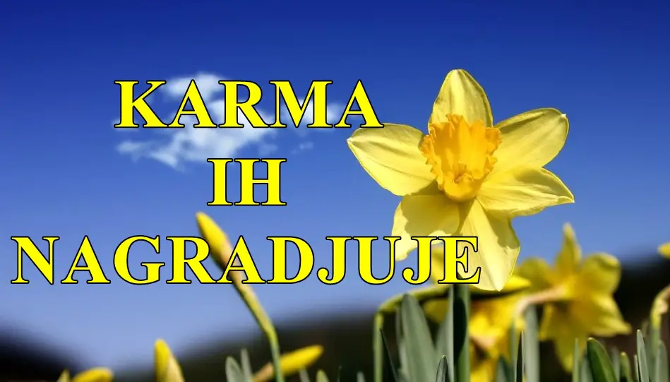 🌟 Karma nagrađuje Blizance i Vage – Sudbinska vrata sreće se otvaraju! 🌟 🌟 Karma nagrađuje Blizance i Vage – Sudbinska vrata sreće se otvaraju! 🌟