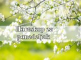 Horoskop za ponedeljak Ovnovima se ostvarujun ciljevi a rakovi resavaju finacijska pitanja.