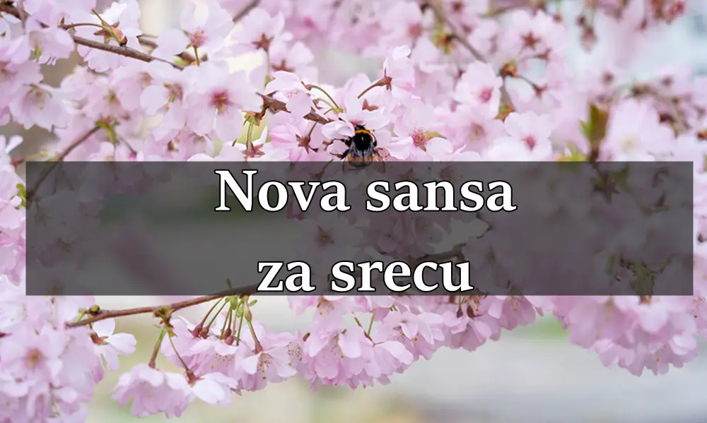 Do kraja marta, mnogi znakovi će biti nagrađeni za svoj trud i imati priliku da ostvare svoje želje.