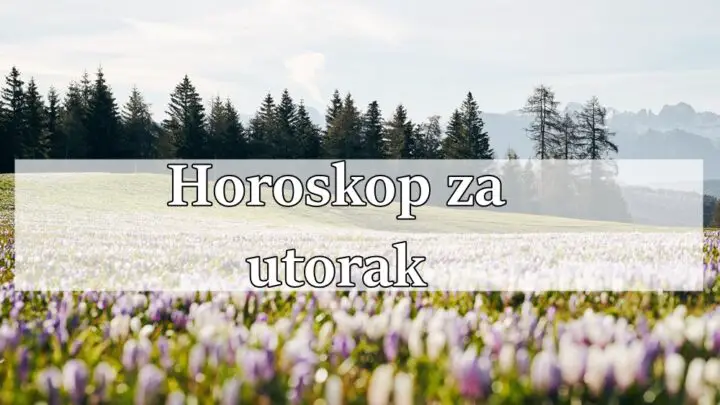 Povoljan je dan za kreativne projekte i razmišljanje o budućim planovima drage Vodolije.