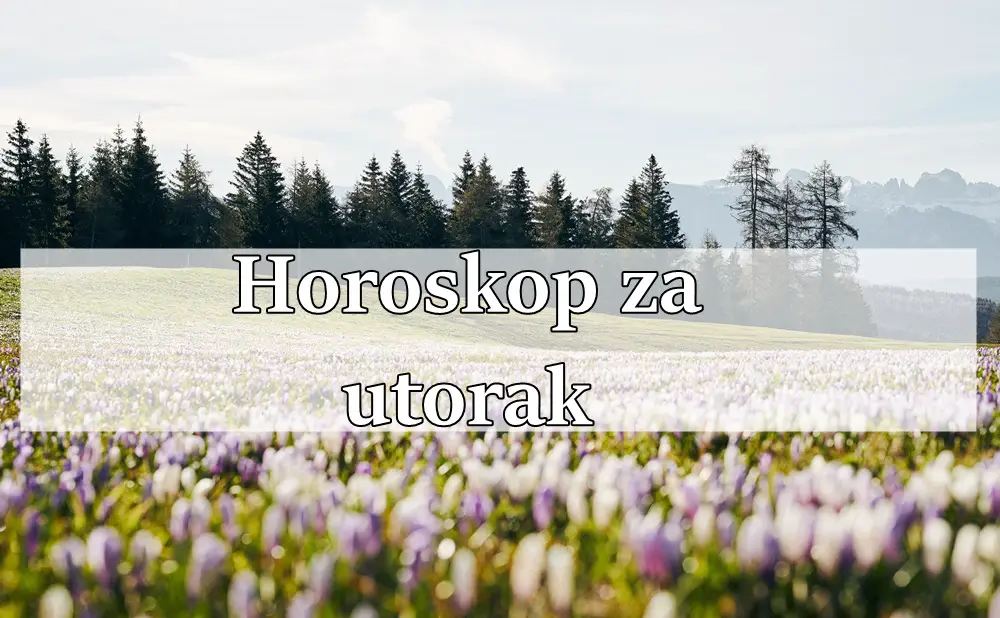 Povoljan je dan za kreativne projekte i razmišljanje o budućim planovima drage Vodolije. Povoljan je dan za kreativne projekte i razmišljanje o budućim planovima drage Vodolije.
