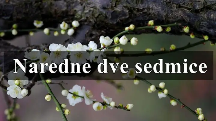 U naredne dve sedmice, većina znakova će se suočiti sa izazovima u ljubavi, poslu i zdravlju.