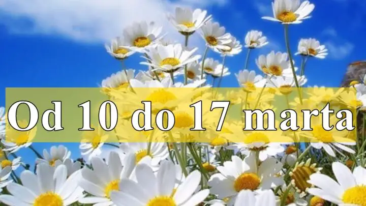 Od 10 do 17 marta za neke znake zodijaka savrseno vreme dok ce Bik da prolazi kroz dileme.