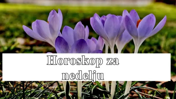 Dnevni horoskop za nedelju, 9. marta 2025. godine, za sve znakove zodijaka.