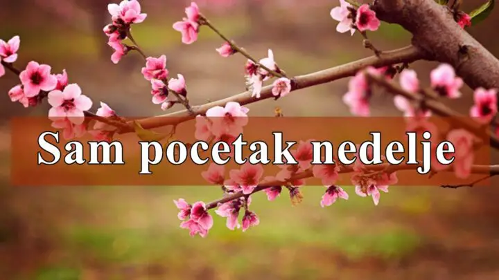 Početak ove nedelje do sredine sedmice donosi mnogo emotivnih uspona i padova.