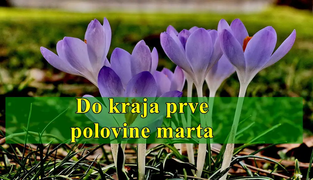 HOROSKOP DO KRAJA PRVE POLOVINE MARTA ZA SVE ZNAKE ZODIJAKA