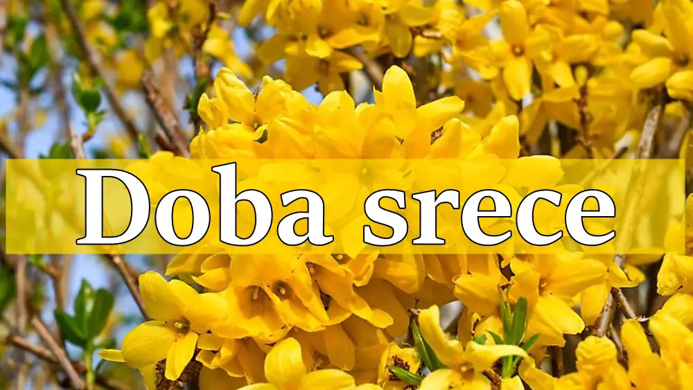 Za ove znake zodijaka pocinje doba srece Ribe Vodolija i Blizanci. Za ove znake zodijaka pocinje doba srece Ribe Vodolija i Blizanci.