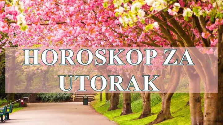 Izgleda da je utorak, 29. april 2025, dan pun potencijala za sve horoskopske znakove! 