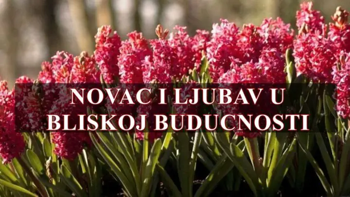 Novac i ljubav u bliskoj buducnosti za sve znake zodijaka.