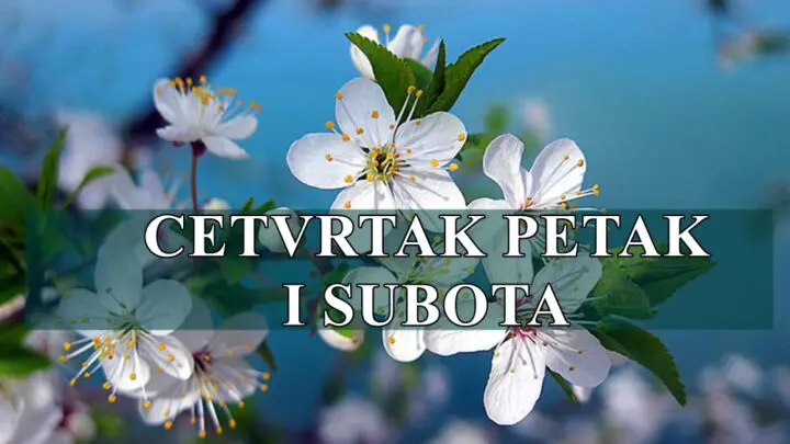 Lav pokusava da sve resi sam Ovan oseca blagu napetost a sta vas ceka ?