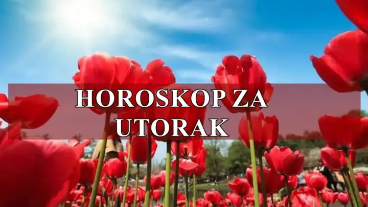 Ovo je dan kada ce jednog zodijaka stici kajanje.