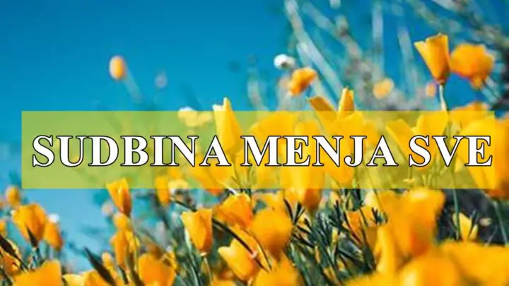 Kraj aprila 2025. donosi velike sudbinske preokrete za sve znakove Zodijaka – zbog punog Meseca u Škorpiji (23. april), direktnog Merkura (25. april) i početka jakih karmičkih ciklusa