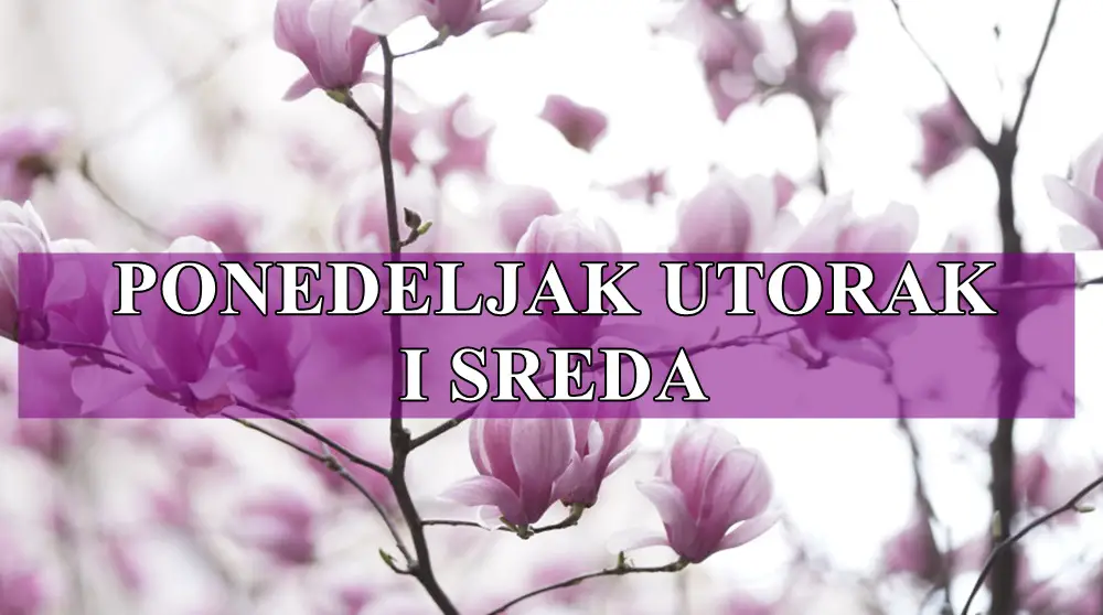 Ponedeljak utorak i sreda Strelcevi dosada vam smeta – tražite akciju i promenu.