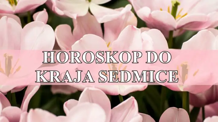 Horoskop do kraja sedmice : Rakovi počinje te neko ozbiljno uvažavati – tvoji trudovi više nisu nevidljivi.